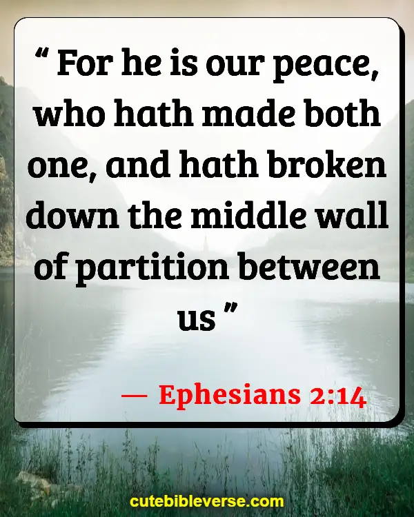Bible Quotes About Peace And War (Ephesians 2:14)