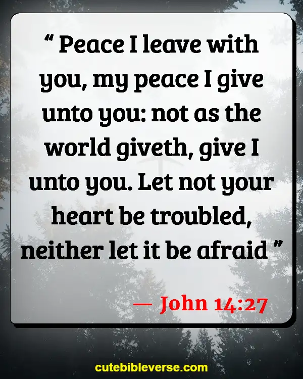 Bible Quotes About Peace And War (John 14:27)