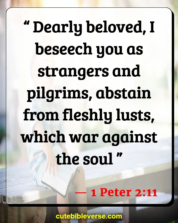 Bible Verse About Being Set Apart From The World (1 Peter 2:11)
