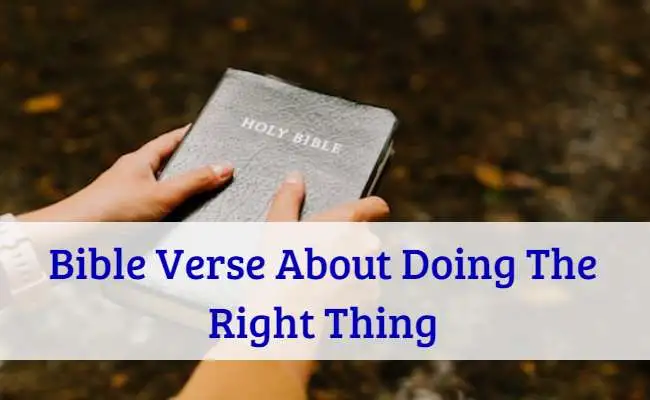 Bible Verse About Doing The Right Thing