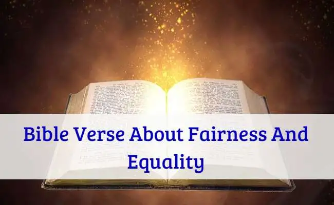 Bible Verse About Fairness And Equality