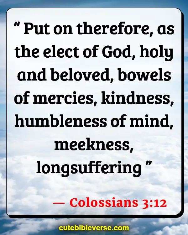 Bible Verses About Helping Your Brothers And Sisters (Colossians 3:12)