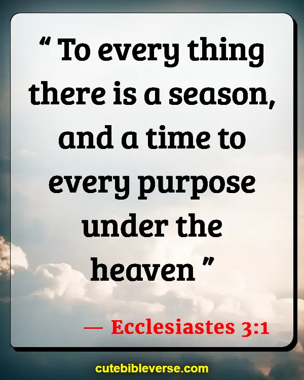 Bible Verse About Patience And Gods Timing (Ecclesiastes 3:1)