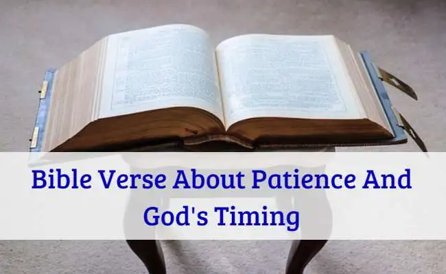 Bible Verse About Patience And Gods Timing