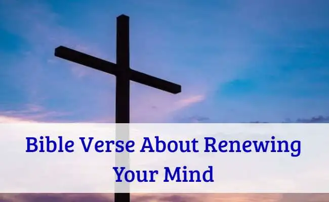 Bible Verse About Renewing Your Mind