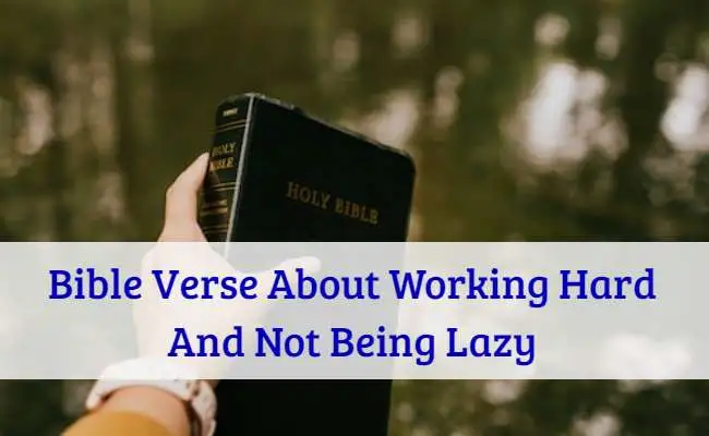 Bible Verse About Working Hard And Not Being Lazy
