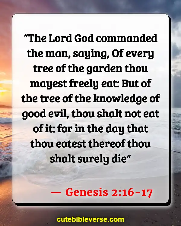 God Give Us Freedom Of Choice Bible Verse (Genesis 2:16-17)