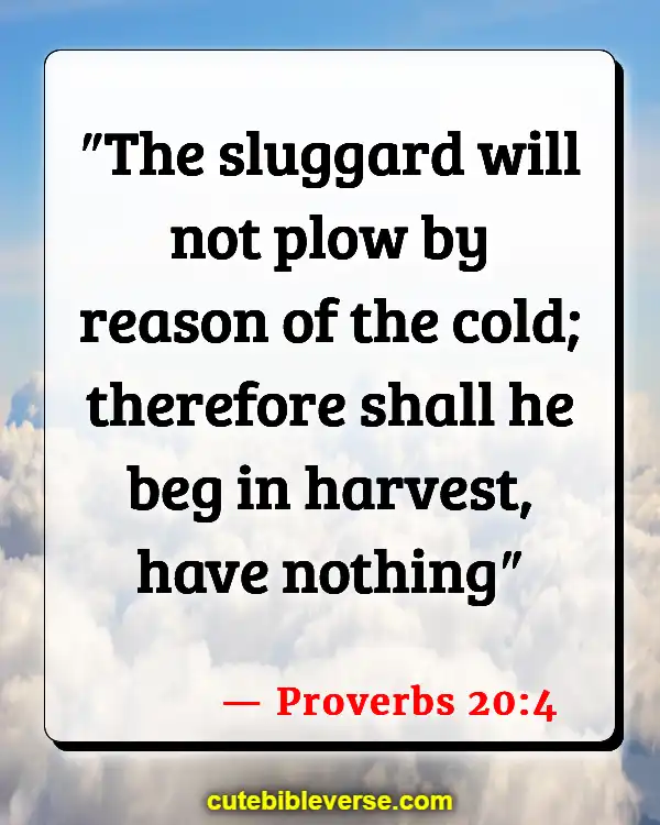 Bible Verse About Working Hard And Not Being Lazy (Proverbs 20:4)