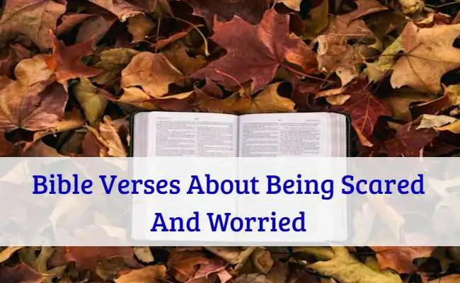 Bible Verses About Being Scared And Worried