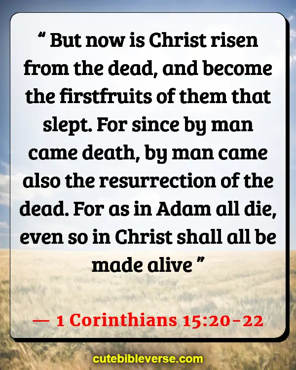 Bible Verses About Celebrating Life After Death (1 Corinthians 15:20-22)