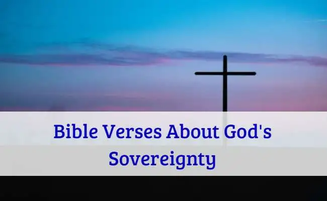 Bible Verses About Gods Sovereignty