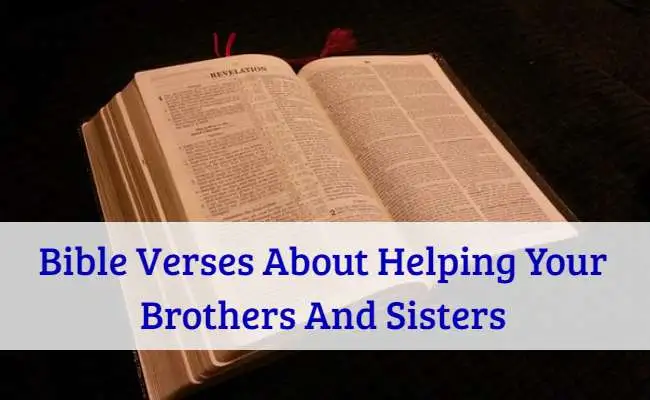 Bible Verses About Helping Your Brothers And Sisters