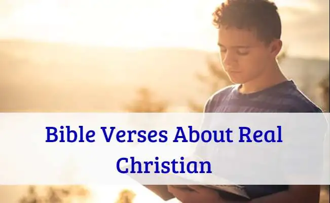 Bible Verses About Real Christian