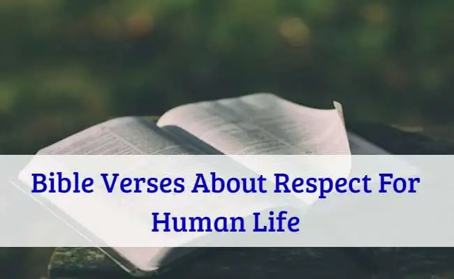 Bible Verses About Respect For Human Life