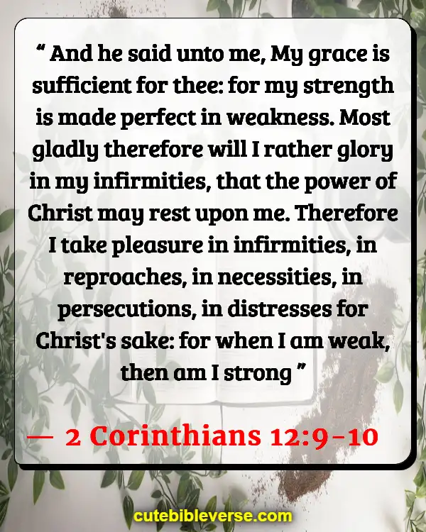 Bible Verses Bless Those Who Persecute You (2 Corinthians 12:9-10)