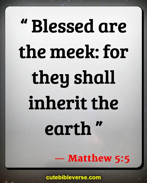Bible Verses For When You Feel Dumb (Matthew 5:5)