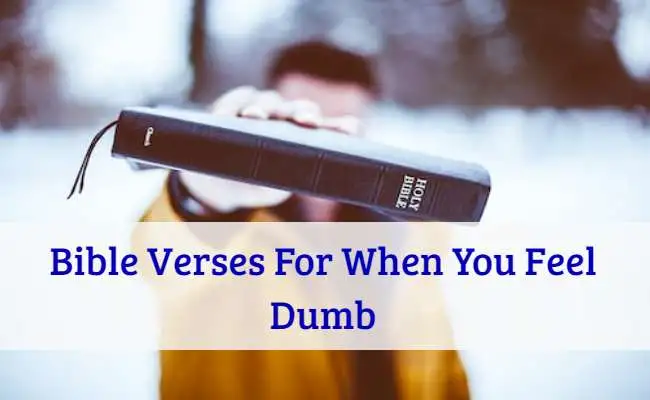 Bible Verses For When You Feel Dumb