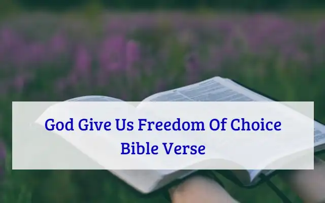 God Give Us Freedom Of Choice Bible Verse